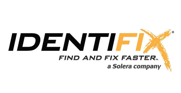 Identfix Online subscription